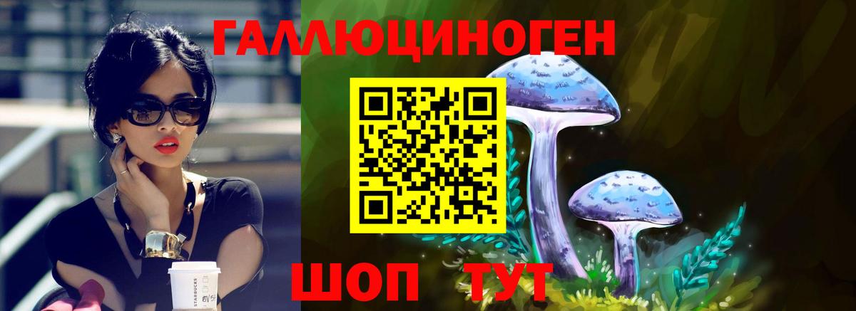 Калуга  Галлюциногенные грибы GOLDEN TEACHER  Галлюциногенные грибы прущие грибы  даркнет сайт  Вход с VPN 